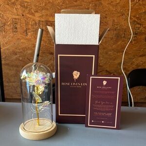 Rose Lives Love Galaxy Rose in Glass Dome